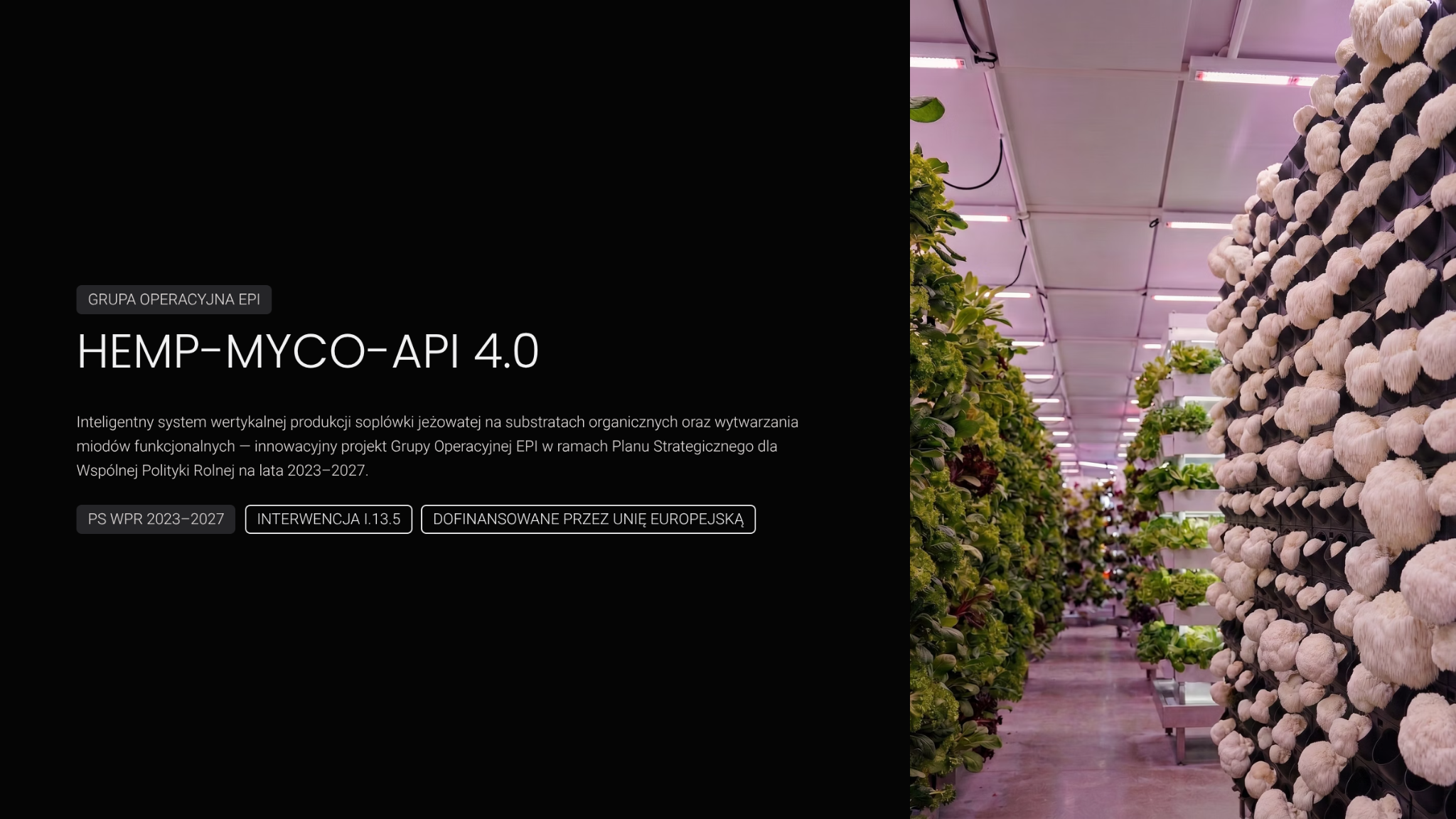 HEMP–MYCO–API 4.0