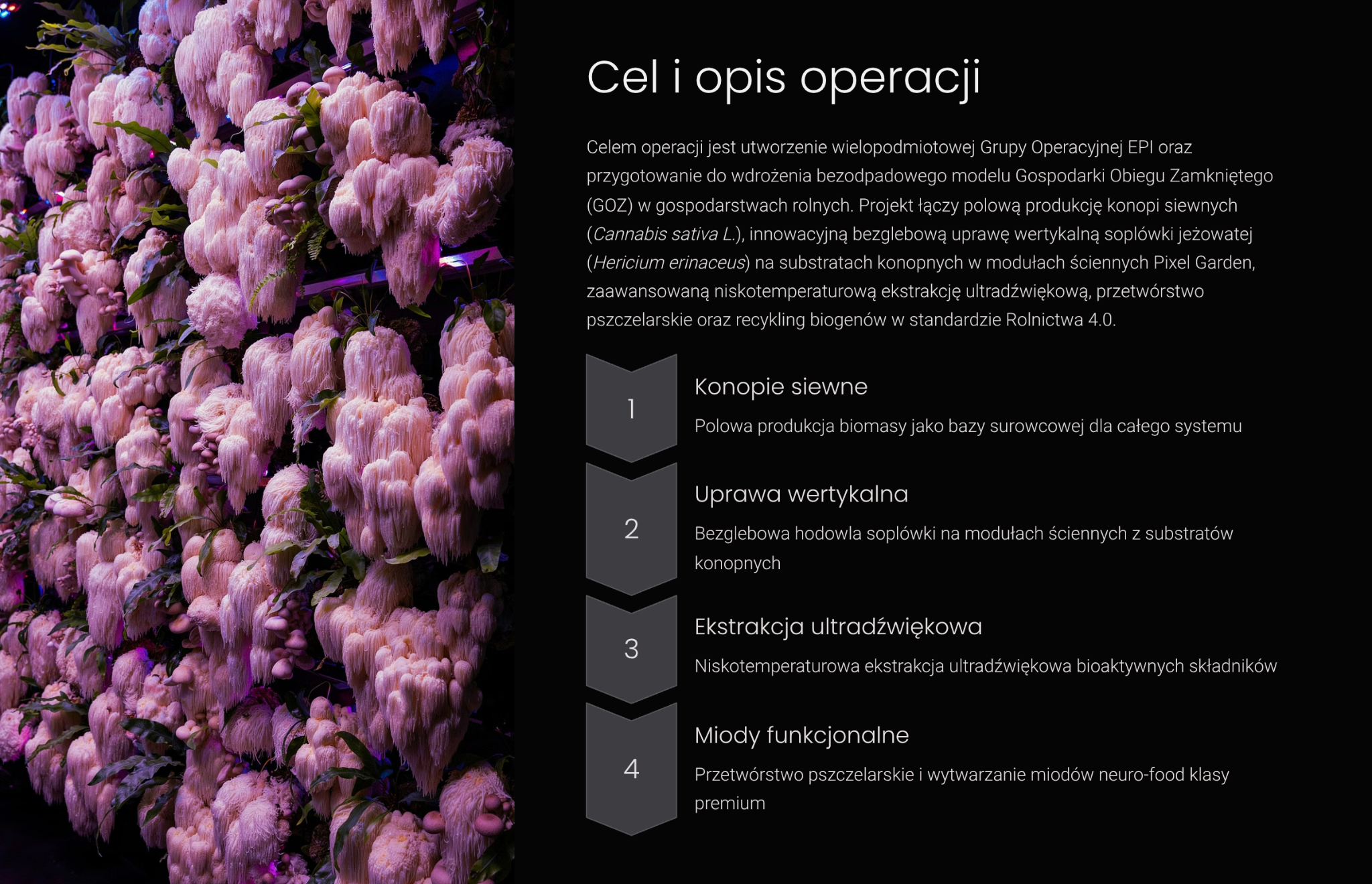 Cel i opis operacji