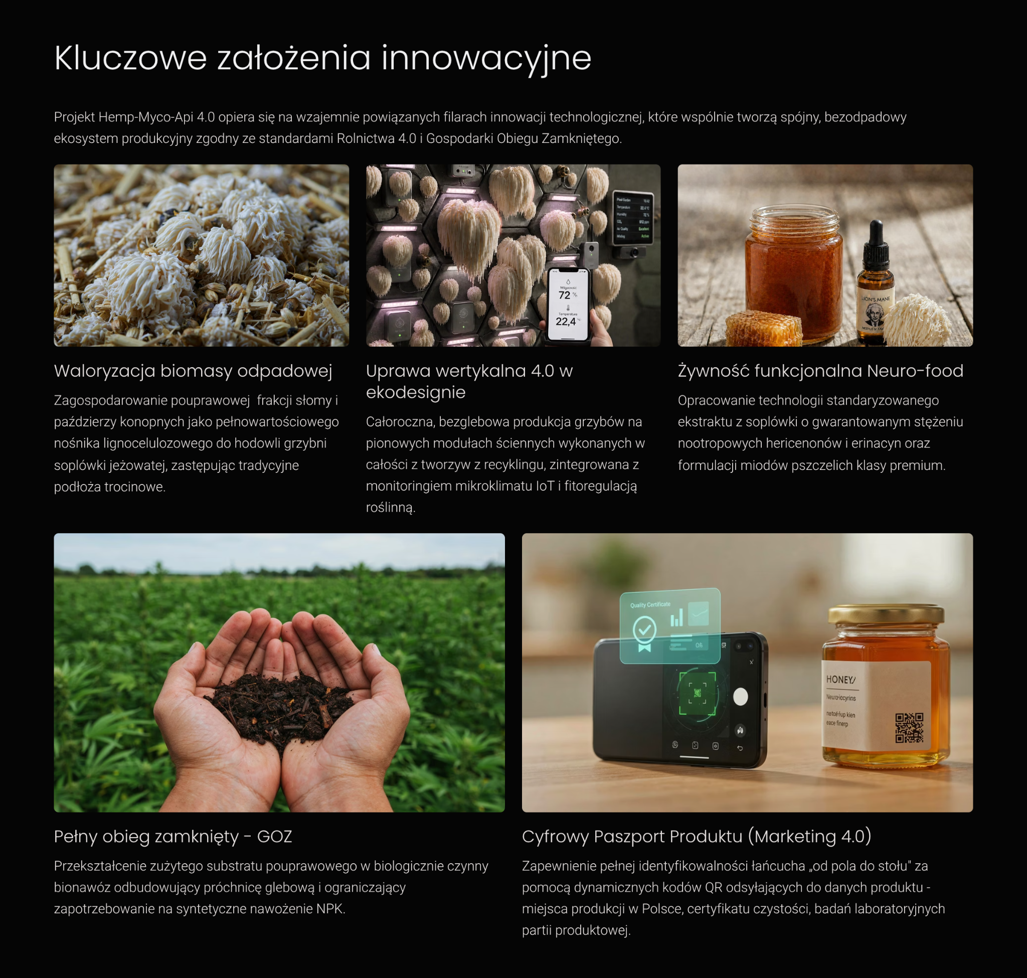Kluczowe założenia innowacyjne